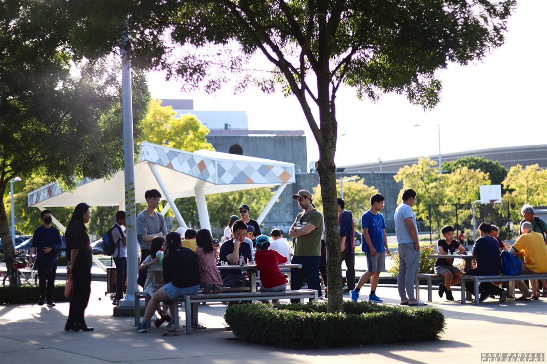 A group gathered around outdoor tables playing chess